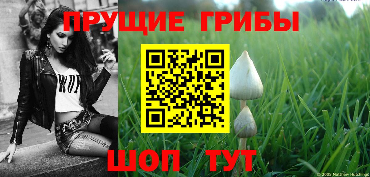 Псилоцибиновые грибы Magic Shrooms Александров